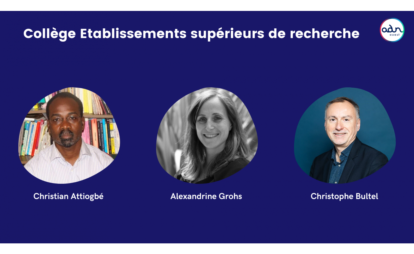 Collège des établissements supérieurs et de recherche