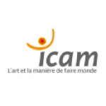 Icam - Institut Catholique d'Arts et Métiers