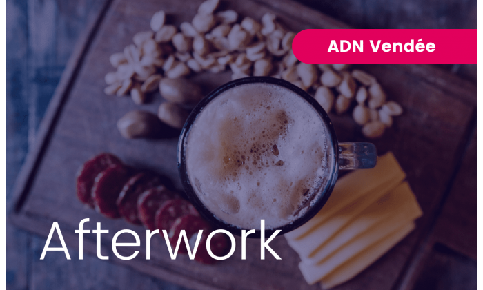 Afterwork ADN Vendee 2 en visio